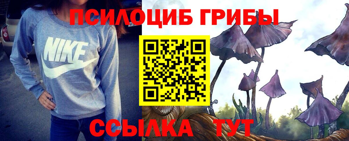 Псилоцибиновые грибы GOLDEN TEACHER Ейск