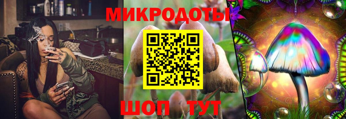 Псилоцибиновые грибы ЛСД  Вход с VPN  Псилоцибиновые грибы Cubensis  Ейск 